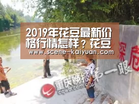 2019年花豆最新价格行情怎样？花豆的功效与禁忌，选购方法【开元棋牌】
