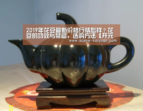 开云下载网址